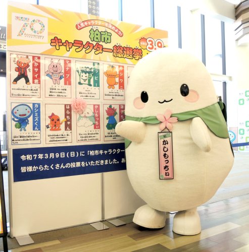 総選挙で大勝し喜ぶ「かしもっちぃ」＝柏市