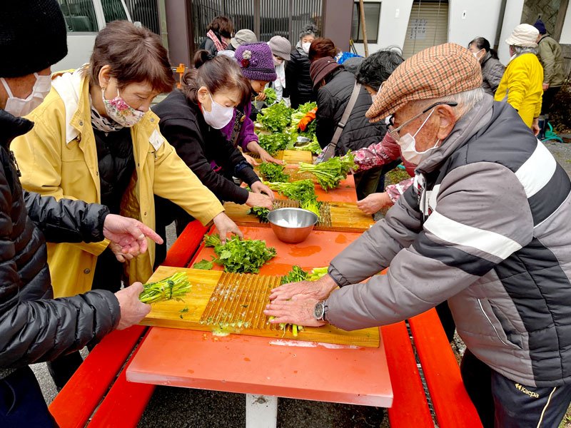 収穫した加茂菜で漬物作りを体験する辰巳台シニアクラブのメンバーら＝市原市の高瀧神社（提供写真）