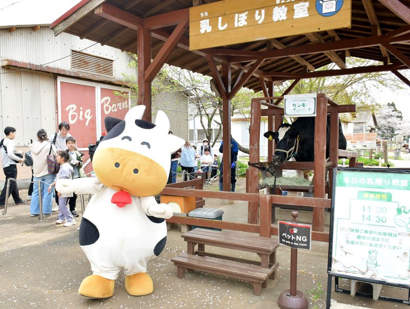 牛などの動物との触れ合いが楽しめる成田ゆめ牧場＝成田市