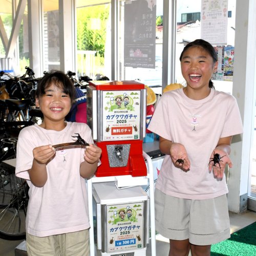 御宿の夏の思い出に　今年も「カブクワガチャ」　天然カブトムシやクワガタ当たる　町観光協会
