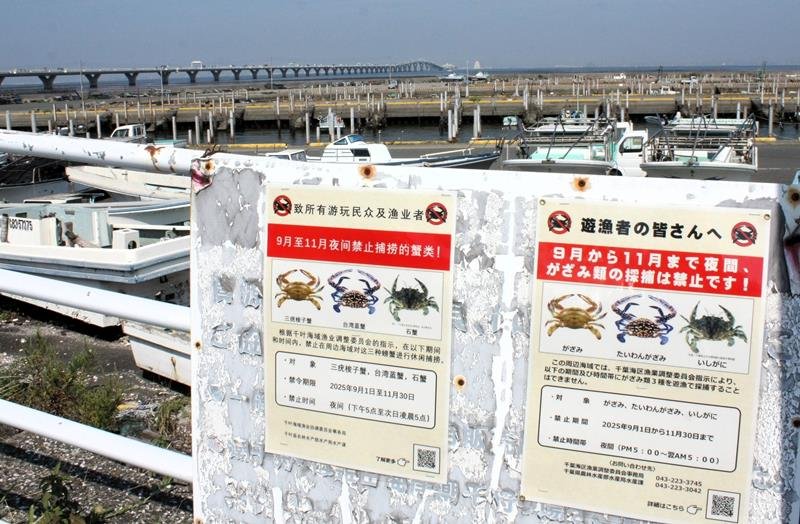 中国語などでガザミ類の捕獲禁止を呼びかけるチラシ＝２１日、木更津市

