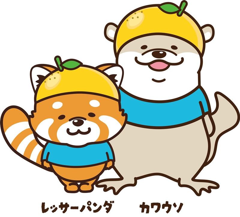 コツメカワウソとレッサーパンダのイラスト（市川市提供）
