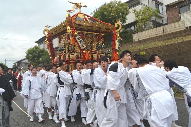 祭り熱気　北総の秋　「佐原の大祭秋祭り」　「佐倉の秋祭り」