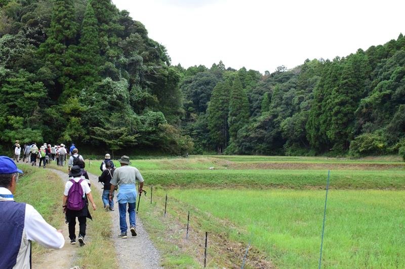 のみがね峻道開通　野見金山の周辺巡る　１周３キロ「地域の宝」　住民８年費やし整備　長南