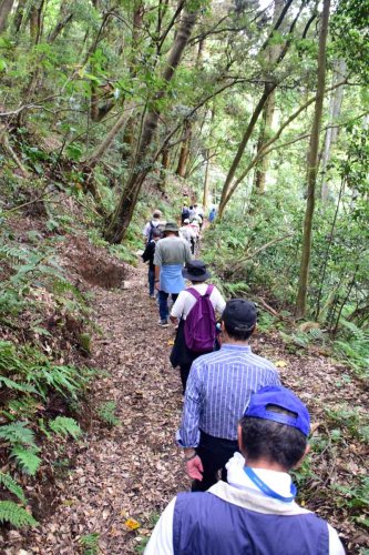 藪だらけだった山道を切り開いたのみがね峻道の「こもれびの道」＝１９日、長南町
