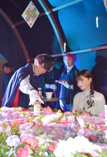 芳醇バラ１０００品種、心引かれ　八千代・京成バラ園　１１月下旬まで見頃　アリスの世界演出も