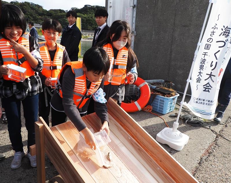 マダイの稚魚を放流する大貫小児童＝４日、富津市
