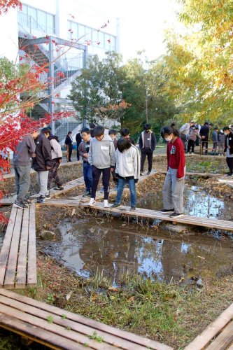 改修されたビオトープを歩く６年生児童＝市原市立青葉台小