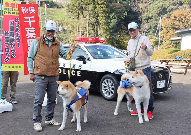 防犯キャンペーンに助っ人として協力した秋田犬＝東金市

