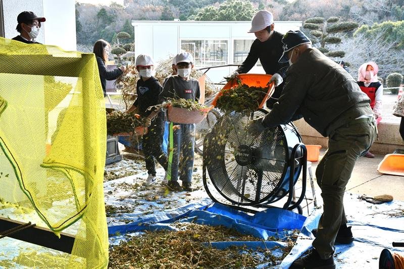 昔ながら、足踏みで大豆脱穀　「振動すごい」笑顔に　神崎・米沢小　納豆やみそに加工