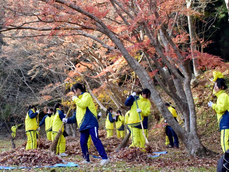 紅葉した木々の下で落ち葉を集める茂原高校の生徒たち＝１３日、茂原公園
