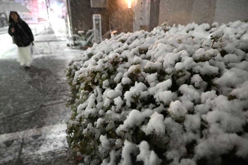 雪が降る中歩く人たち＝２日午後８時２０分ごろ、市川市