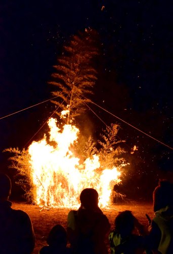 燃え盛る竹や正月飾りを見つめる親子連れら＝１８日夕、茂原市