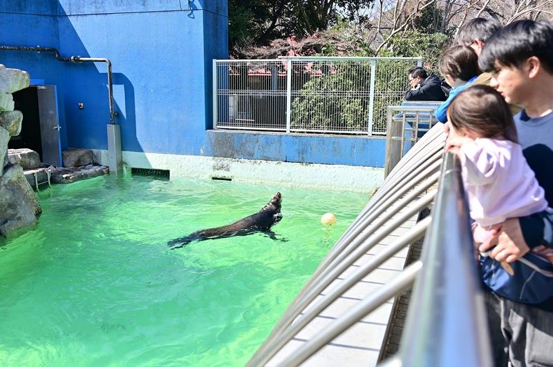 チャイムの送る会にたくさんの人が集まった＝２３日、千葉市若葉区の千葉市動物公園
