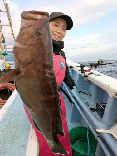 館山オニのれん完成　本牧アジ好調　【今週の釣果】