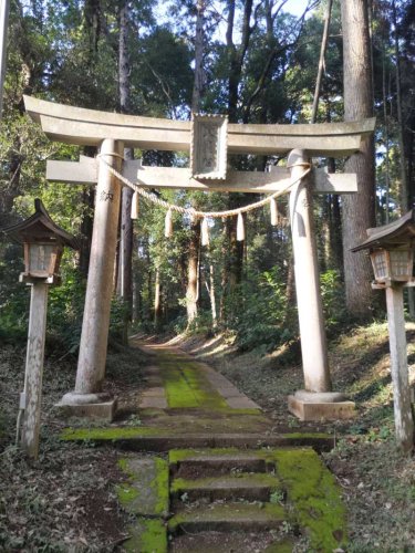 椎崎八幡神社の鳥居