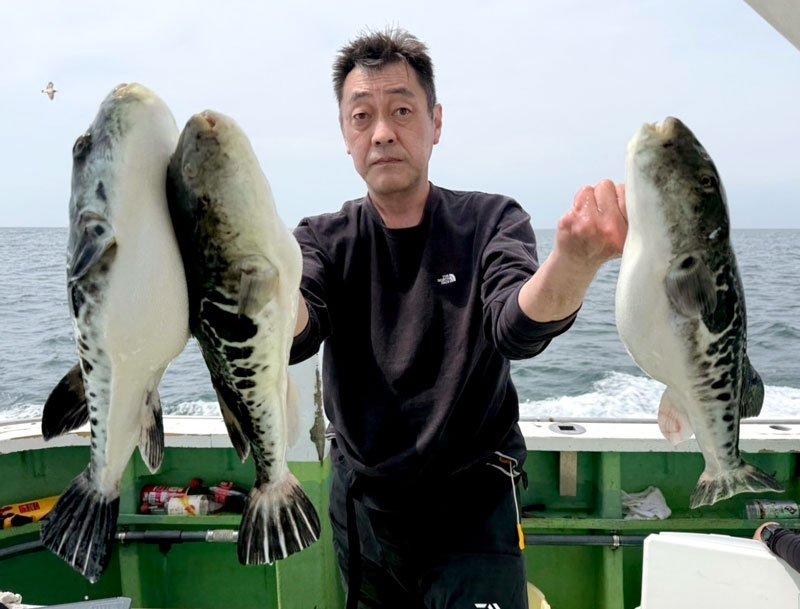 富浦沖で釣り上げたトラフグ（写真は「萬栄丸」提供）