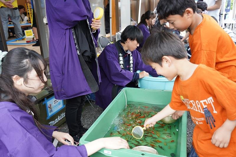 金魚すくいに挑戦する子どもたち（右）＝３日、いすみ市

