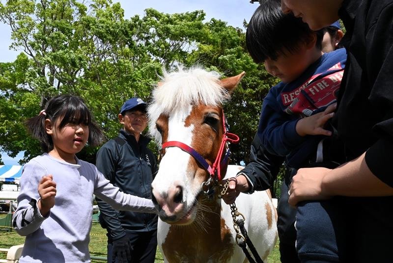 馬と触れ合う子どもたち＝４日、富里市