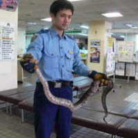 マンション敷地にヘビ　浦安市内、警察官急行し捕獲