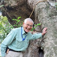 天然記念物を守る　台風被害の回復に全力　府馬の大クス（香取市）の保全活動を行う　我孫子市・高野光利さん（７８）　【みどりをまもる　ちばの樹木医】（２）