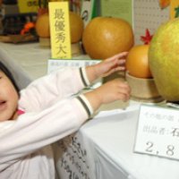 新記録で石橋さん制覇　船橋、梨の大玉コンテスト