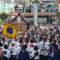 神社が親戚、勇壮も紳士的　不思議さ魅力「七年祭り」　船橋　【回顧　２０１５年　取材メモから】