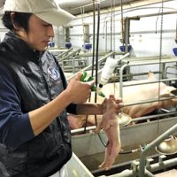 世界うならせた銘柄豚　（１３）米本畜産（旭市）　【輝く！千葉の企業　日本政策金融公庫レポート】