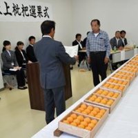 皇室献上の組合「名誉なこと」　大玉で粒ぞろい　南房総でビワ選果式