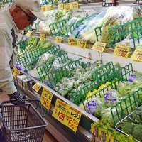 日照不足　野菜高値、除湿器売れる　屋外レジャー客足鈍く