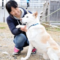救助犬目指し奮闘　鎌ケ谷の新たな“家族”とともに　原発事故後、南相馬で保護