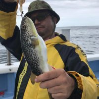 鹿島沖で釣り上げたフグ（写真は「幸栄丸」提供）
