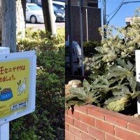花壇には浦安市、市川市がそれぞれ設置したとみられる看板もあった
