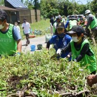 ５０年後見据え森林再生　１００人がタブノキ移植　館山・沖ノ島