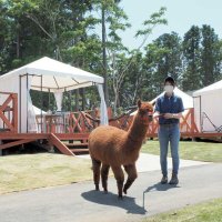 絶景一望、気軽にキャンプ　マザー牧場のグランピング施設　１５日オープン　富津