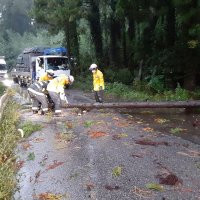 強風で倒れ道路をふさいだ木を切る千葉市消防局職員＝１日午後５時１０分ごろ、千葉市若葉区野呂町