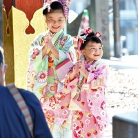 七五三の晴れ着姿で記念撮影する姉妹