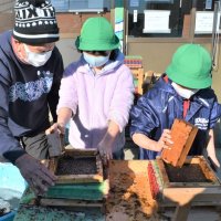【子ども新聞　週刊ちばにち家】　児童がノリすき挑戦　船橋、漁師ら先生に　（２０２２年１月２７日号）