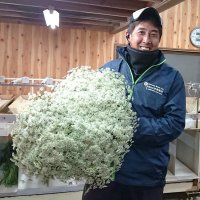 必要とされる花き企業に　折原園芸（南房総市） 【輝く！千葉の企業　日本政策金融公庫レポート】（８５）