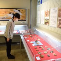 郷土の新資料１１０点一堂　貝塚出土耳飾り　明治時代の文書　鎌ケ谷
