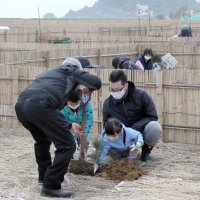 東京五輪会場の保安林再生　房総信用組合、クロマツなど植樹　一宮町・釣ケ崎海岸