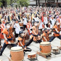 ３年ぶり成田太鼓祭　３５チーム４９０人一斉に打ち鳴らし　コロナ収束と平和願うごう音響く