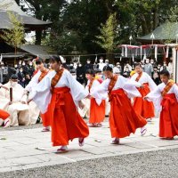 御田植祭で豊作祈る　香取神宮小中学生が田舞披露