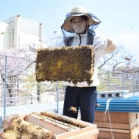 千商大生、養蜂で緑化目指す　「地産地消」商品開発も　市川・国府台キャンパス