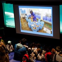 イルカの生態紹介　１７、１９日「飼育の日」でレクチャー　鴨川シーワールド