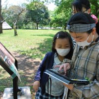 貸与されたタブレット端末で解説を見ながら遺跡を歩く来場者＝４日、千葉市若葉区の加曽利貝塚