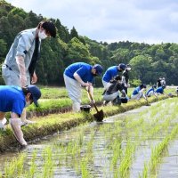稲作の天敵　ジャンボタニシ捕獲大作戦　多古高校×農業大学校　農薬使わずドッグフードでわな製作