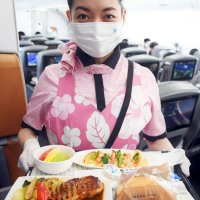 グリルチキンやグラタンといった子どもも喜ぶメニューやハワイを感じられる果物などをデザートにした機内食。客室乗務員は南国風の限定エプロンを着用した