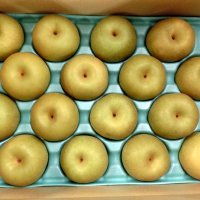 鎌ケ谷特産の梨　ネットで予約販売　７月１日から