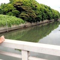 日本製鉄の敷地外に「脱硫液」漏れ出す　小糸川赤く染まり、魚死ぬ　東日本製鉄所君津地区